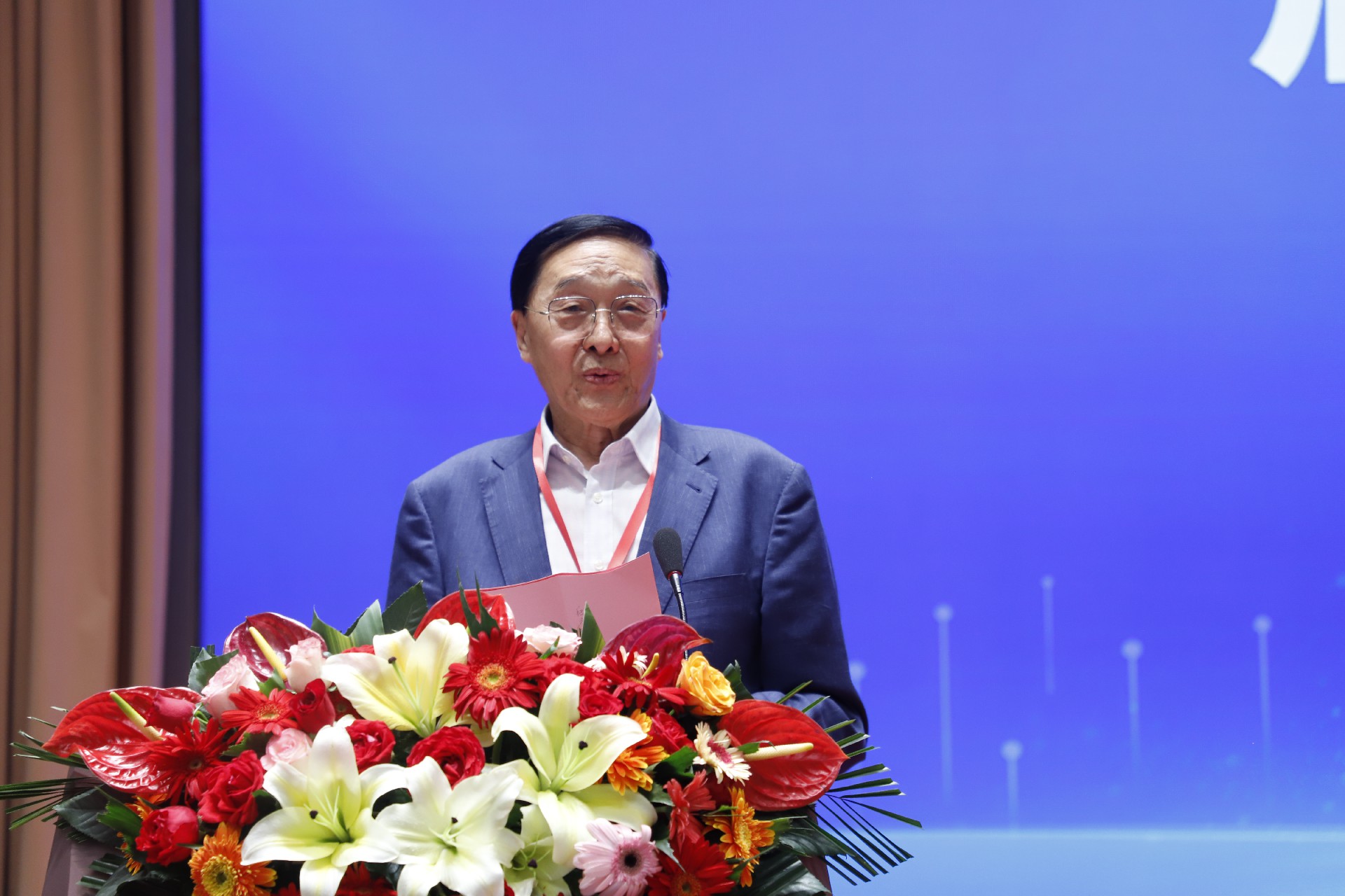 原国家卫生部副部长张凤楼讲话.jpg